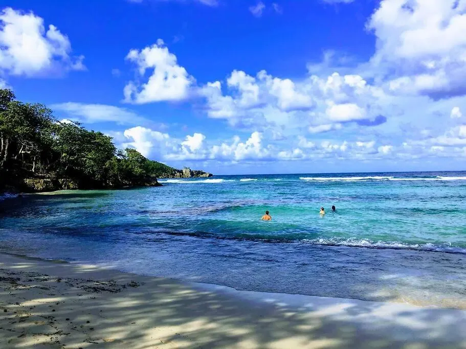 Apartamento Cozy Locale Pearl Port Antonio 0*,