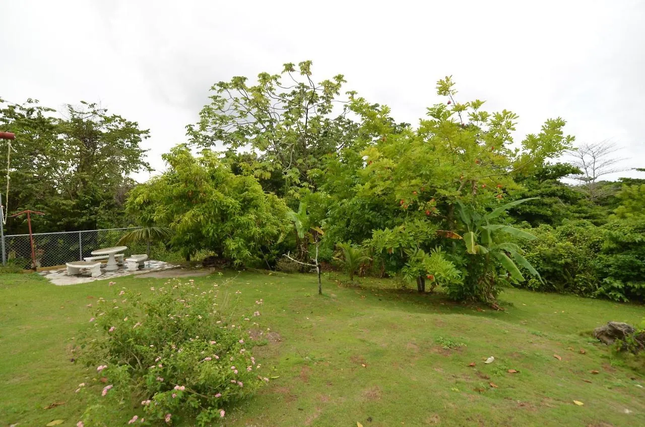 Apartamento Cozy Locale Pearl Port Antonio