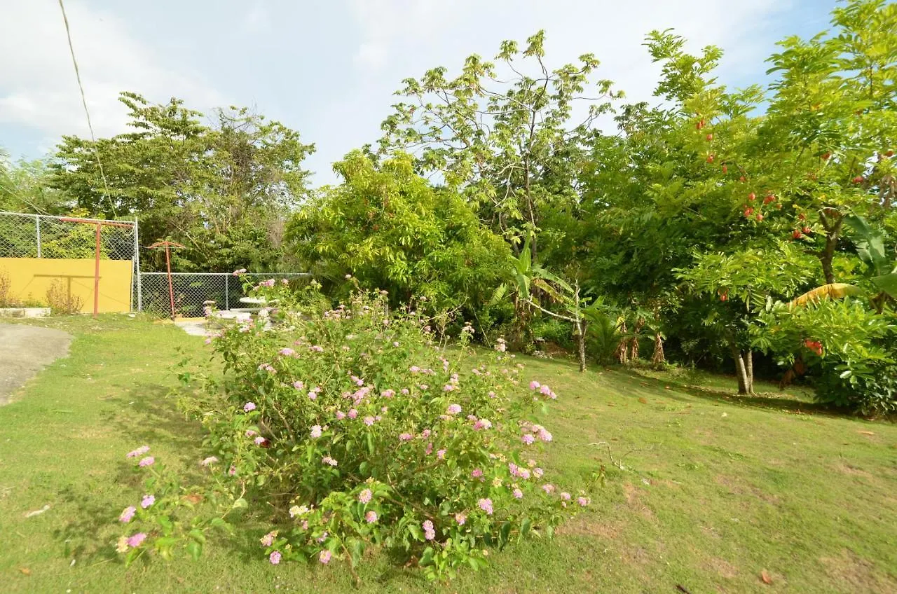 Apartamento Cozy Locale Pearl Port Antonio 0*,  Jamaica