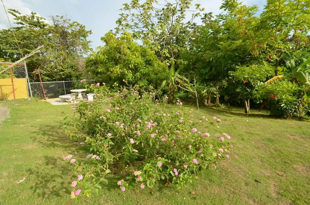 Cozy Locale Pearl Apartamento Port Antonio